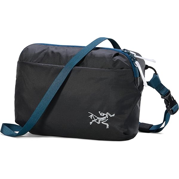 Amazon | [アークテリクス] ARCTERYX イオンライトウェイト